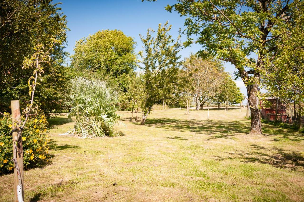 הוילה אייביברידג' Cadleigh Manor מראה חיצוני תמונה